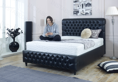 Pivot Chesterfield Bed with model.